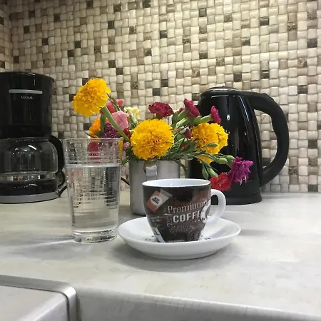 公寓 Katerina & Elia's Family House 利昂尼迪翁